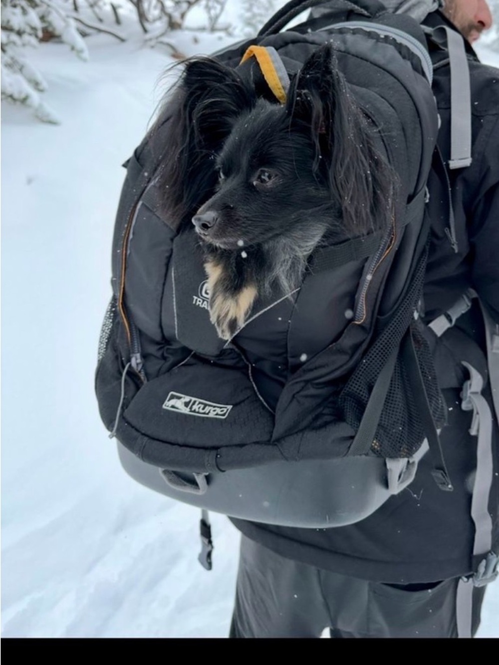 Kurgo Black Dog Carrier Backpack
